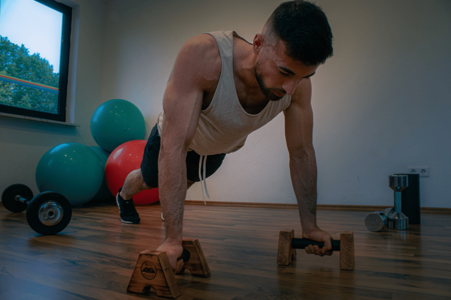 Dein Calisthenics Workout für zu Hause mit Liegestützgriffen | Aries Athletics